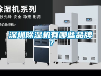 企業新聞深圳除濕機有哪些品牌？