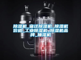 常見問題除濕機(jī)_宿遷除濕機(jī)_除濕機(jī)價格_工業(yè)除濕機(jī)_除濕機(jī)品牌_抽濕機(jī)