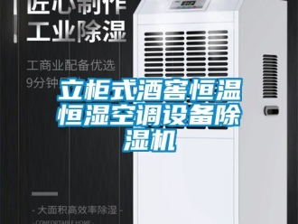 知識(shí)百科立柜式酒窖恒溫恒濕空調(diào)設(shè)備除濕機(jī)