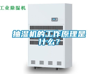 企業新聞抽濕機的工作原理是什么？