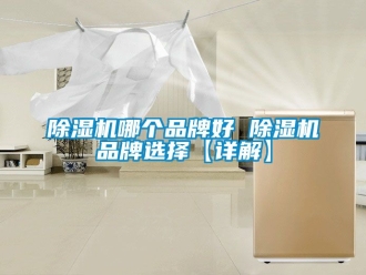 企業新聞除濕機哪個品牌好 除濕機品牌選擇【詳解】