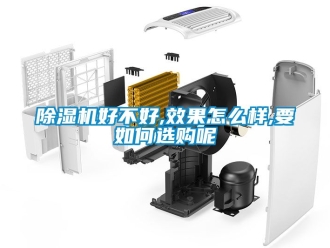 行業(yè)新聞除濕機好不好,效果怎么樣,要如何選購呢
