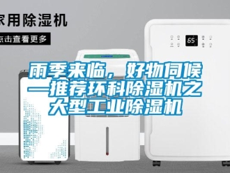 知識百科雨季來臨，好物伺候—推薦環科除濕機之大型工業除濕機