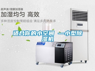 知識(shí)百科適合你的小空間 —小型除濕機(jī)