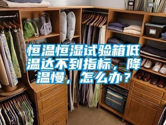 知識(shí)百科恒溫恒濕試驗(yàn)箱低溫達(dá)不到指標(biāo)，降溫慢，怎么辦？