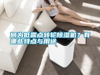 行業新聞何為低露點轉輪除濕機？有哪些特點與用途