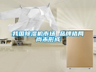 知識百科我國除濕機市場 品牌格局尚未形成