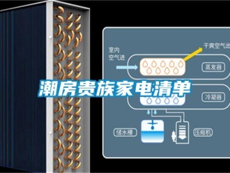 企業(yè)新聞潮房貴族家電清單