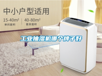 企業新聞工業抽濕機哪個牌子好