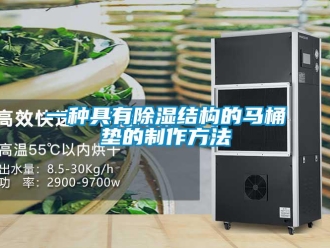 企業新聞一種具有除濕結構的馬桶墊的制作方法