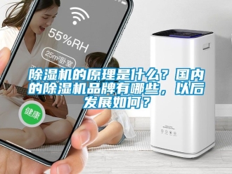 企業新聞除濕機的原理是什么？國內的除濕機品牌有哪些，以后發展如何？