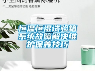 知識百科恒溫恒濕試驗(yàn)箱系統(tǒng)故障解決維護(hù)保養(yǎng)技巧