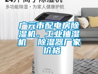 企業新聞廣元市配電房除濕機，工業抽濕機  除濕器廠家 價格