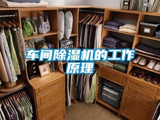 企業新聞車間除濕機的工作原理