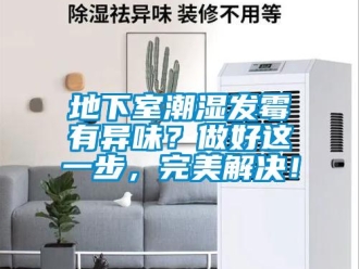 企業(yè)新聞地下室潮濕發(fā)霉有異味？做好這一步，完美解決！