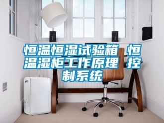知識百科恒溫恒濕試驗箱 恒溫濕柜工作原理 控制系統