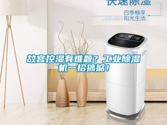 企業(yè)新聞故宮控濕有難題？工業(yè)除濕機(jī)一招搞掂！