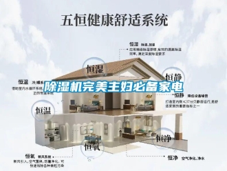 企業(yè)新聞除濕機完美主婦必備家電