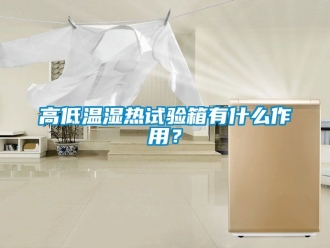 常見問題高低溫濕熱試驗(yàn)箱有什么作用？