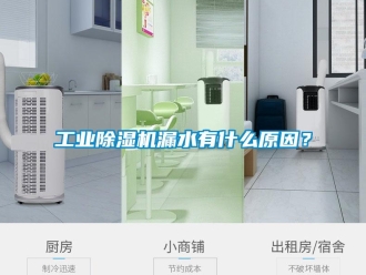 企業(yè)新聞工業(yè)除濕機(jī)漏水有什么原因？