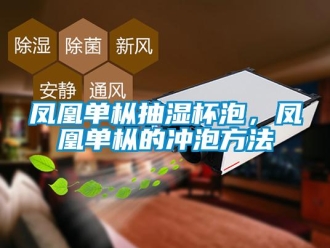 企業(yè)新聞鳳凰單樅抽濕杯泡，鳳凰單樅的沖泡方法