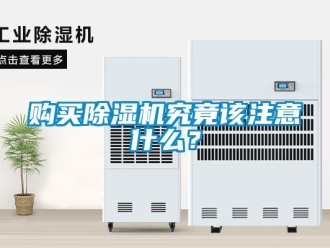 企業(yè)新聞購買除濕機究竟該注意什么？