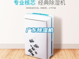 行業新聞廣東除濕機
