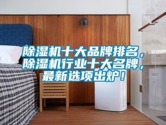 企業(yè)新聞除濕機十大品牌排名，除濕機行業(yè)十大名牌，最新選項出爐！