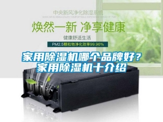 企業新聞家用除濕機哪個品牌好？家用除濕機十介紹