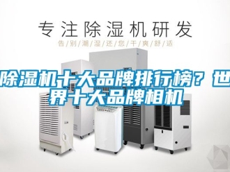 企業(yè)新聞除濕機(jī)十大品牌排行榜？世界十大品牌相機(jī)