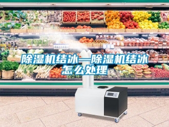 行業(yè)新聞除濕機結冰—除濕機結冰怎么處理