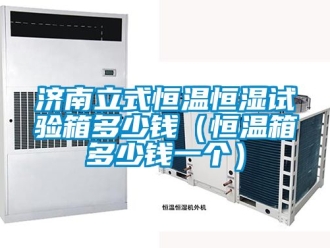 知識百科濟(jì)南立式恒溫恒濕試驗(yàn)箱多少錢（恒溫箱多少錢一個(gè)）