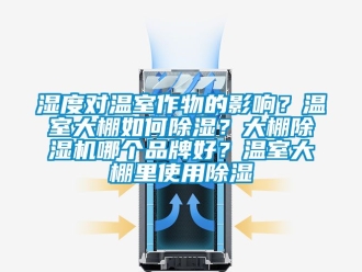 企業(yè)新聞濕度對(duì)溫室作物的影響？溫室大棚如何除濕？大棚除濕機(jī)哪個(gè)品牌好？溫室大棚里使用除濕