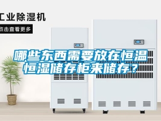 知識(shí)百科哪些東西需要放在恒溫恒濕儲(chǔ)存柜來儲(chǔ)存？