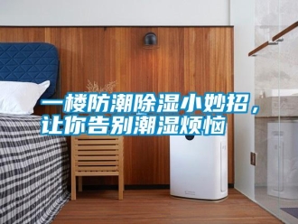知識百科一樓防潮除濕小妙招，讓你告別潮濕煩惱