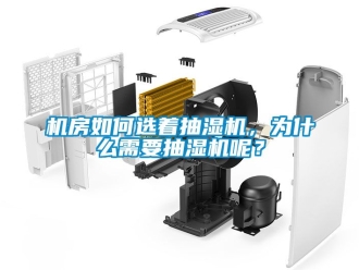 企業新聞機房如何選著抽濕機，為什么需要抽濕機呢？