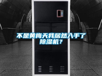 企業(yè)新聞不是黃梅天我居然入手了除濕機(jī)？