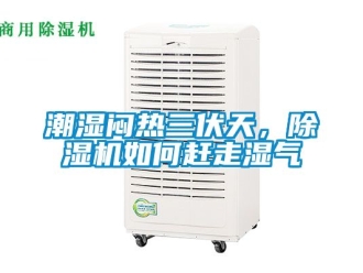 企業(yè)新聞潮濕悶熱三伏天，除濕機如何趕走濕氣