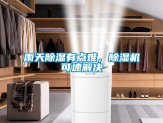 知識百科雨天除濕有點難，除濕機可速解決