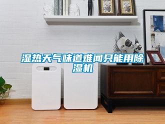 知識百科濕熱天氣味道難聞只能用除濕機