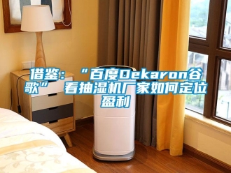 常見問題借鑒：“百度Dekaron谷歌” 看抽濕機(jī)廠家如何定位盈利
