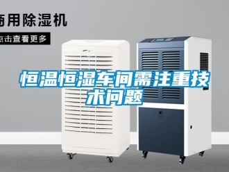 知識百科恒溫恒濕車間需注重技術問題