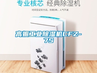 常見問題高振工業(yè)除濕機(jī)CFZ-7S