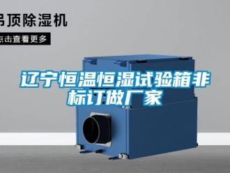 知識百科遼寧恒溫恒濕試驗箱非標訂做廠家