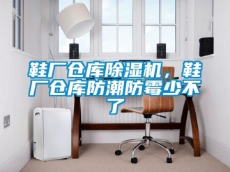 知識(shí)百科鞋廠倉(cāng)庫(kù)除濕機(jī)，鞋廠倉(cāng)庫(kù)防潮防霉少不了