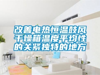 知識(shí)百科改善電熱恒溫鼓風(fēng)干燥箱溫度平均性的關(guān)緊獨(dú)特的地方