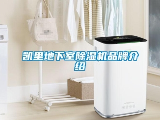 企業(yè)新聞凱里地下室除濕機品牌介紹