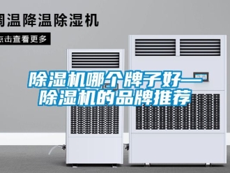 企業(yè)新聞除濕機(jī)哪個牌子好—除濕機(jī)的品牌推薦
