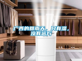 行業新聞廣西的回南天，只有濕，沒有遠方