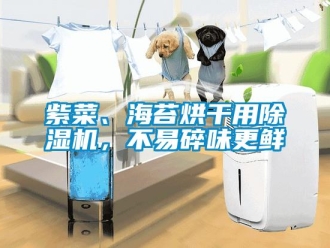知識百科紫菜、海苔烘干用除濕機，不易碎味更鮮